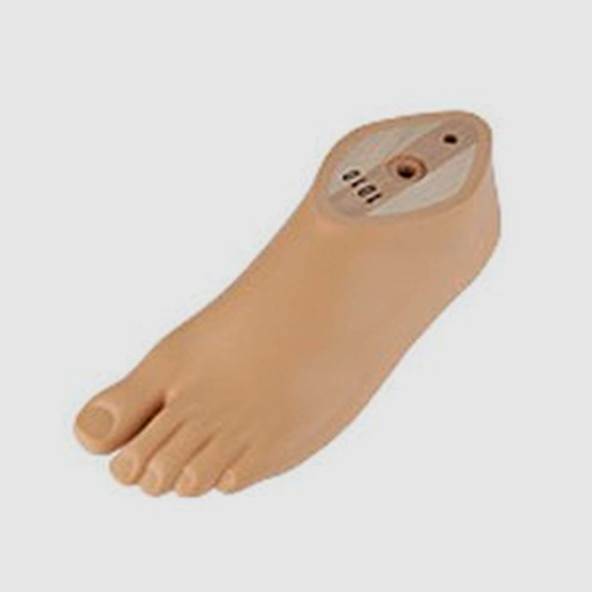 Протез стопи Sach 1S101